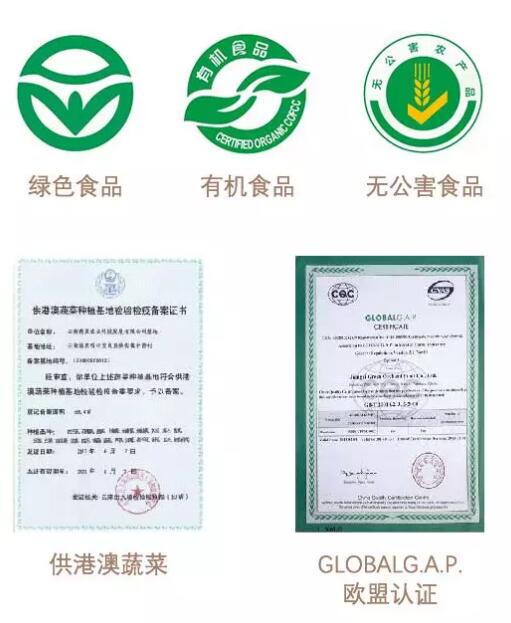 證書.jpg